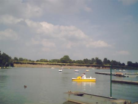 les pedalos  toujours à lequesnoy